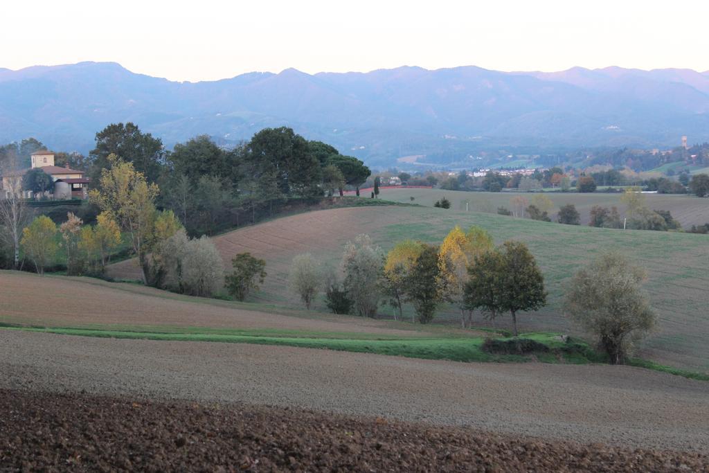 Intorno Firenze B&B San Piero a Sieve Zewnętrze zdjęcie