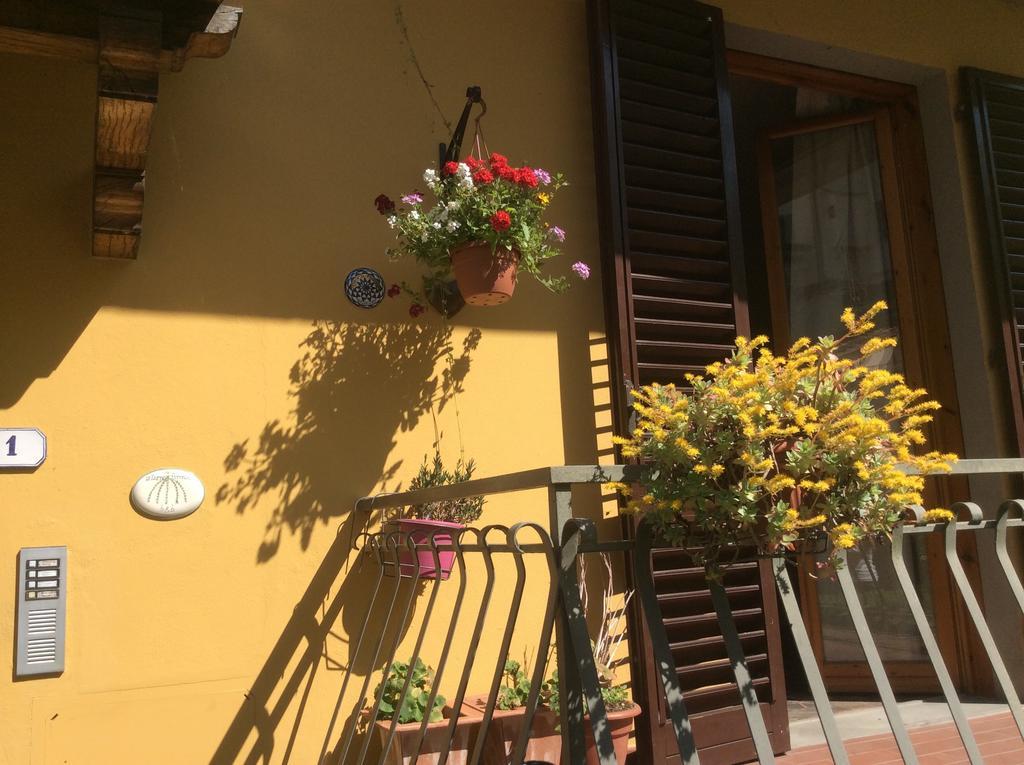 Intorno Firenze B&B San Piero a Sieve Zewnętrze zdjęcie